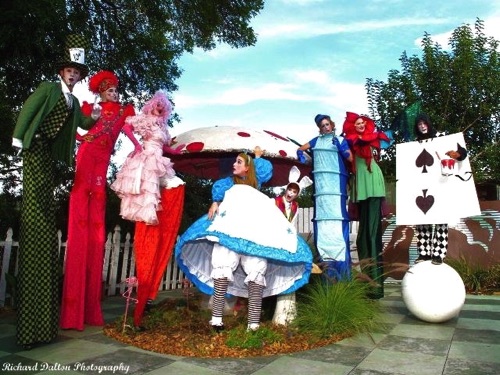 Down the Rabbit Hole
Alice ~Specialty~ Down the Rabbit Hole
Alice ~Specialty~